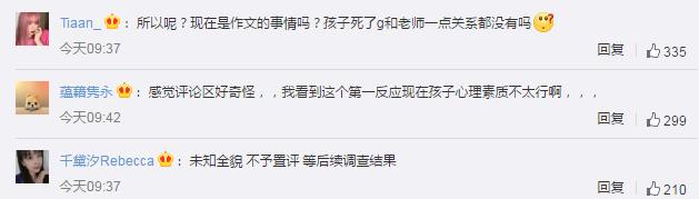 官方称坠亡小学生作文涉抄袭 网友：让子弹先飞一会儿