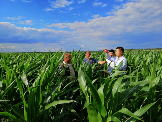 中欧班列首发 河南省黄泛区实业集团喷灌机助力乌克兰农业发展