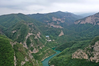 巩义青龙山：夏日时节 绿意盎然