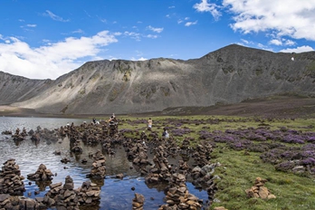 绿草如茵！西藏：思金拉错美景引游人