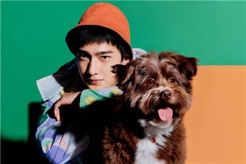 杨洋以“别抱怨抱我”为主题演绎拥抱主题大片