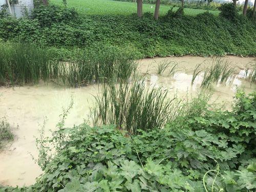 商水县一碎石厂物料未完全覆盖废料遍地 环保局称有环评手续