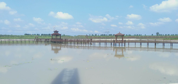河南邓州市2000余荒芜坑塘变新颜
