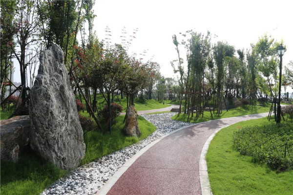 漫步南召县法院后园小记