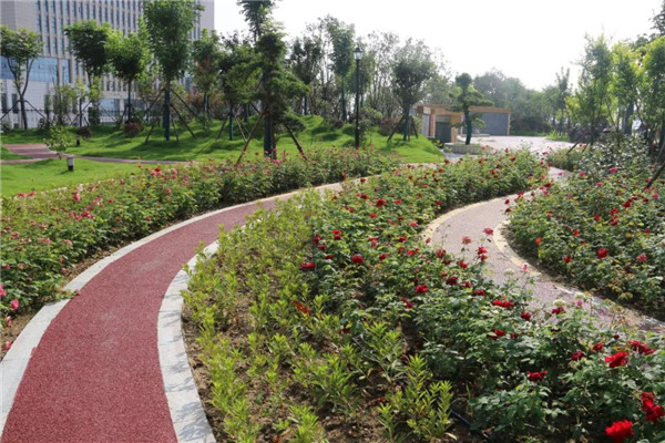 漫步南召县法院后园小记