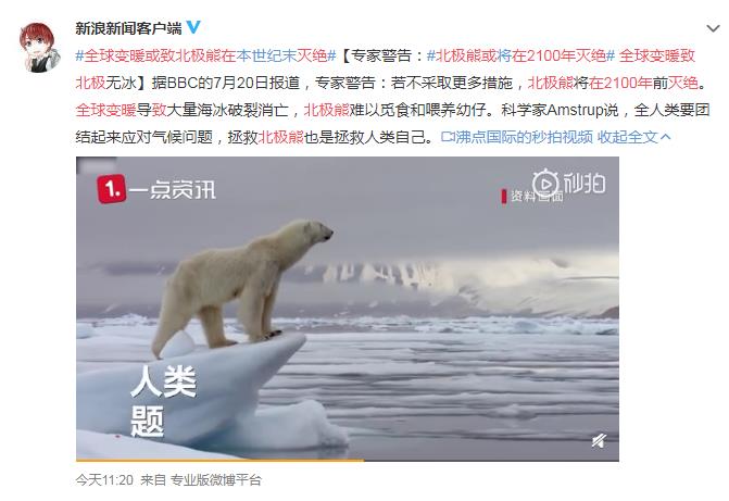 北极熊或将在2100年灭绝 网友：放南极一部分 不知道能行不