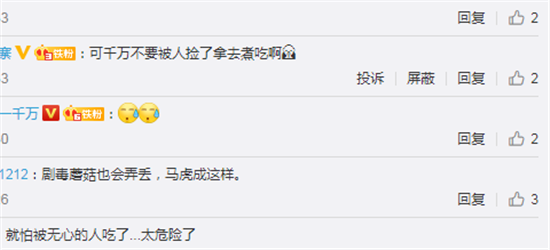 广州急寻剧毒蘑菇遗失物 网友:就怕被无心的人吃了