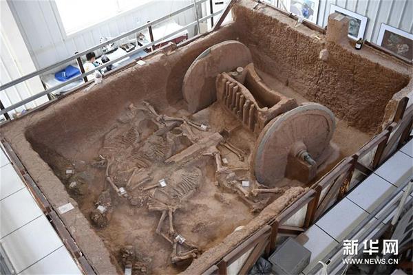 历时3年 陕西保护复原2800年前西周青铜轮牙马车