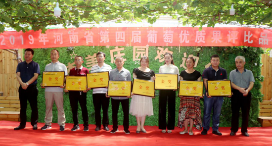 驻马店“葡萄仙子”王书美:这个盛夏,她翡翠般的梦“玲珑”绽放