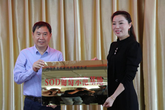 驻马店“葡萄仙子”王书美:这个盛夏,她翡翠般的梦“玲珑”绽放