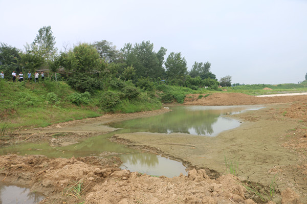 邓州市全域党建湍河段管护过实招动真格