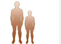男性为何比女性个儿高