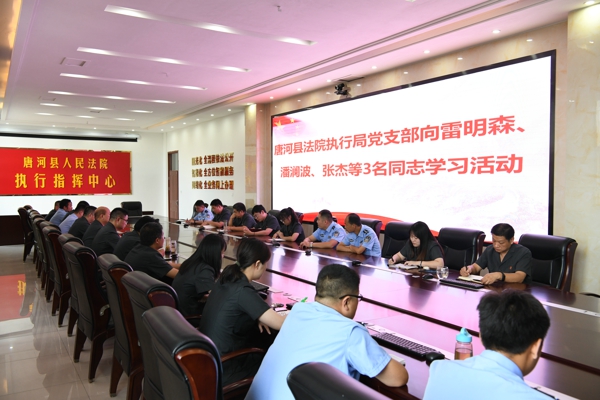 唐河县人民法院开展向雷明森、潘澜波、张杰三名同志学习主题党日活动