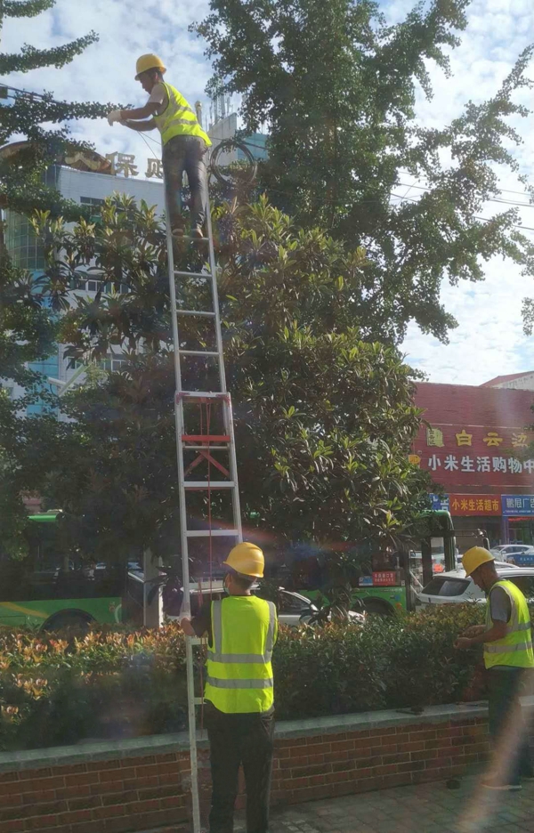 漯河电信：持续推进管线整治 不断美化城市环境