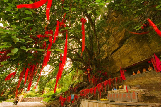 农历七月初七，龙潭大峡谷为您再现“鹊桥相会”！
