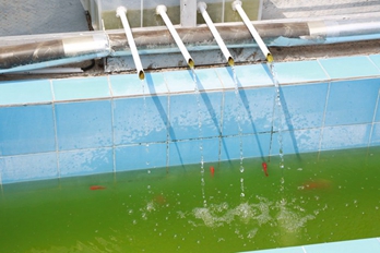 我们分类好的垃圾如何处理？探访郑州经开区