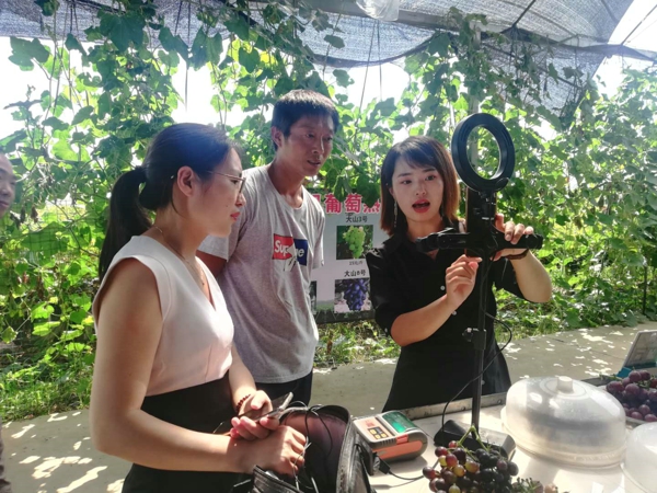 “公益+直播+特产” ——南阳市宛城区发挥互联网优势助力群众增收致富