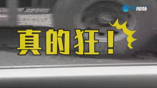 修武县两个书记太猖狂!一个偷拉石料，一个威胁拆房！满嘴脏话“我弄死你”！