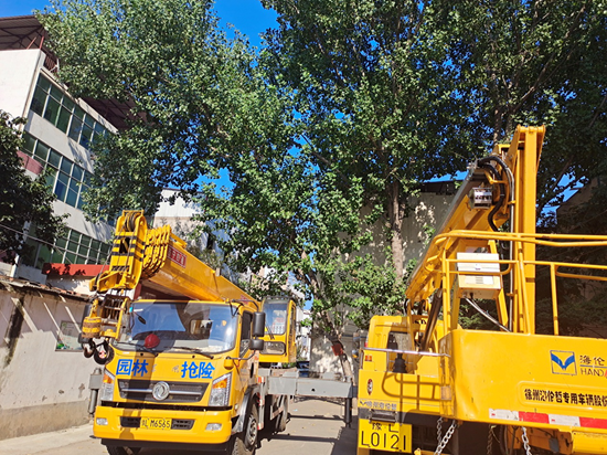 漯河市城管局绿化养护中心：“民生