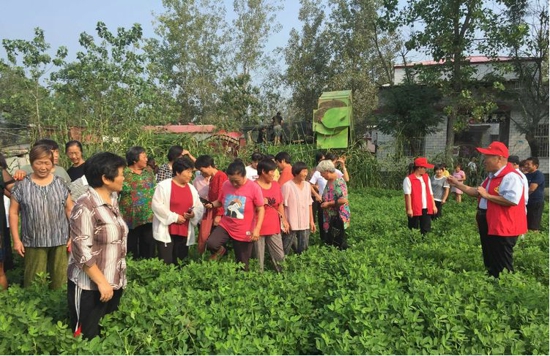 汝南县科协：让科技在农业增效中发挥更大作用