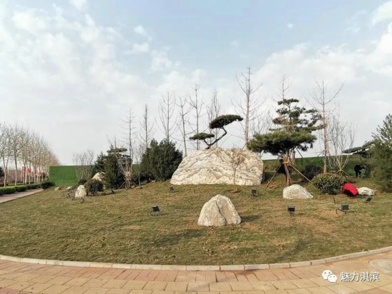 【六城联创 淇滨在行动】长江路街道：“景观小品”为六城联创增色