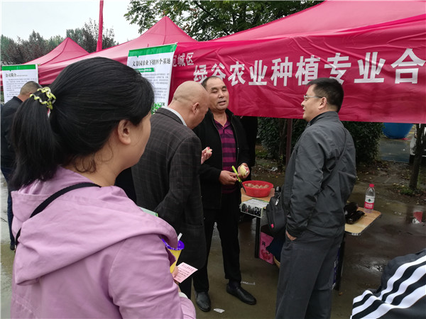 南阳宛城区农民丰收节举行---共话累累硕果 共唱丰收赞歌