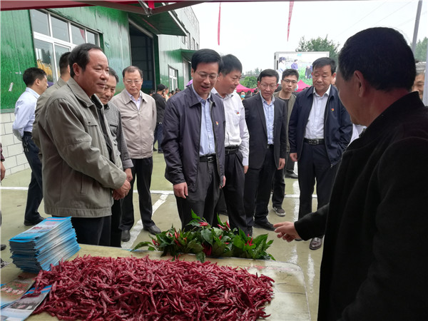 南阳宛城区农民丰收节举行---共话累累硕果 共唱丰收赞歌