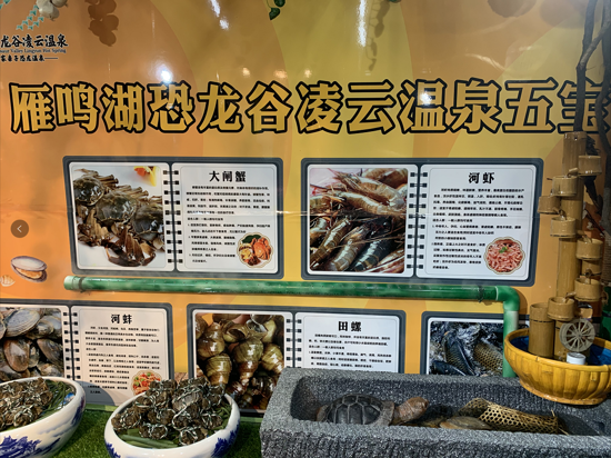 河南首家恐龙亲子温泉 大闸蟹美食节吃多少送多少