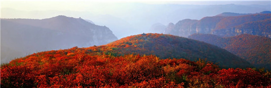 青天河“十万亩红叶”盛宴，震撼美景提前赏！