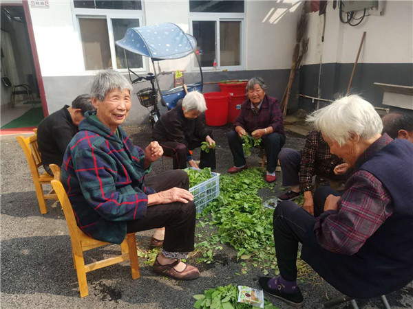 南阳瓦店镇：“幸福大院”幸福满院