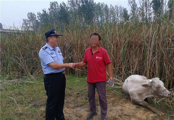 桐柏：民警助力找黄牛 多方寻找解民忧