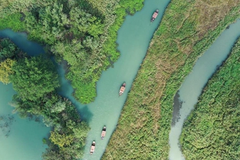 杭州西溪:秋日风光