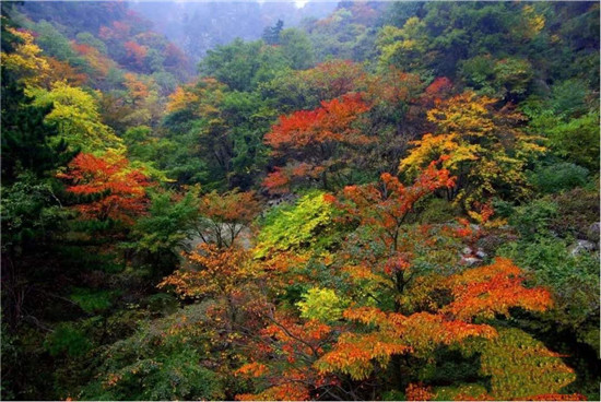 中国风景名胜区协会年度会议定在尧山温泉旅游度假区召开
