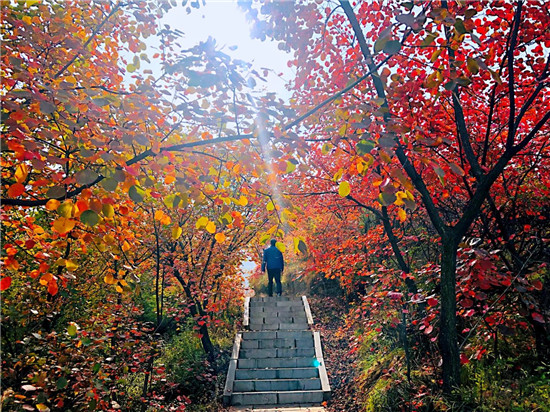 登仙山 、观黄河、赏红叶、游唯美古村落 新安邀你来体验这里的秋天！
