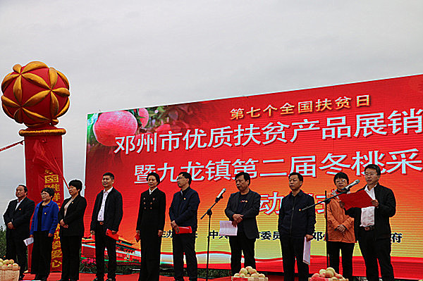 邓州一场采摘节 销售水果50万斤