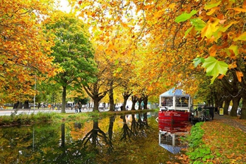 都柏林秋景美如画