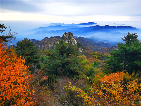 醉美红叶赏景正当时 平顶山市第十届(尧山)红叶节绚丽开幕