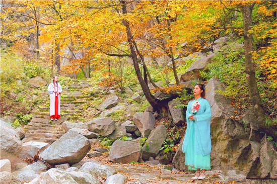 醉美红叶赏景正当时 平顶山市第十届(尧山)红叶节绚丽开幕