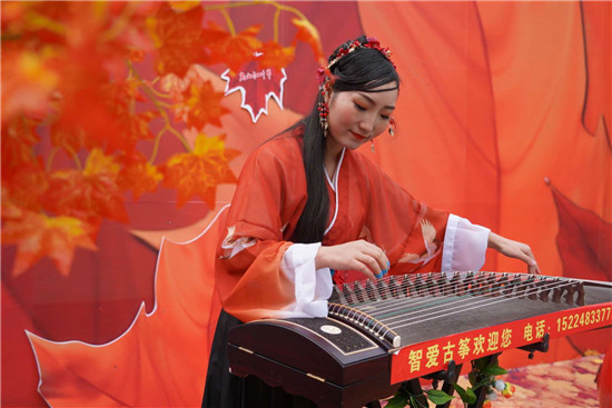 醉美红叶赏景正当时 平顶山市第十届(尧山)红叶节绚丽开幕