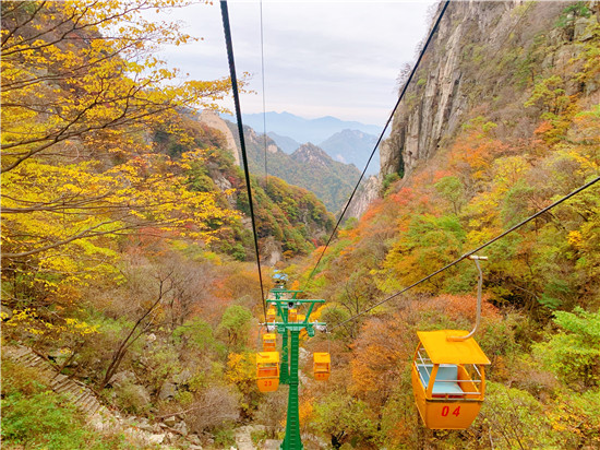 醉美红叶赏景正当时 平顶山市第十届(尧山)红叶节绚丽开幕