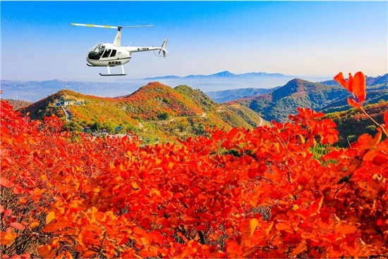 醉美红叶赏景正当时 平顶山市第十届(尧山)红叶节绚丽开幕