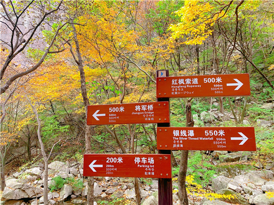 醉美红叶赏景正当时 平顶山市第十届(尧山)红叶节绚丽开幕