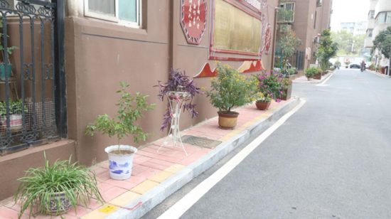 郑州市花园路街道通信花园社区“巧姐巧妹手工制作展”和“兰桂飘香花卉盆景展”开展