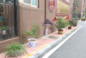 郑州市花园路街道通信花园社区“巧姐巧妹手工制作展”和“兰桂飘香花卉盆景展”开展