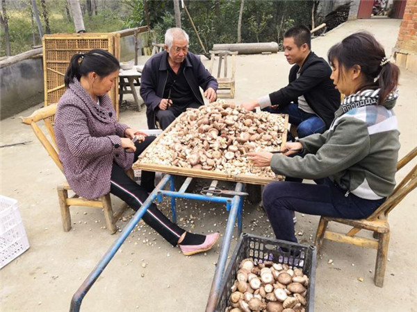 南召县：产业发展讲方略 群众致富有门路