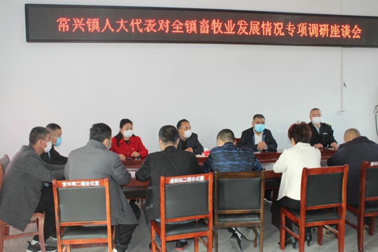 汝南县常兴镇人大主席团调研辖区内畜牧业发展情况