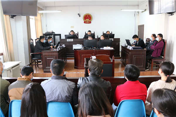 西峡法院：庭审观摩促进依法行政