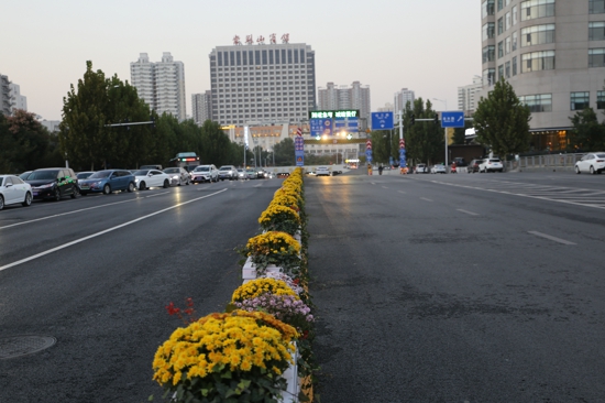 【郑在蝶变】郑州市金水区：党建引领 共享共治 道路升级改造让城市更美好