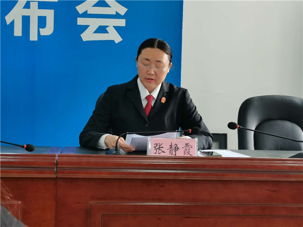 镇平县法院召开扫黑除恶专项斗争新闻发布会