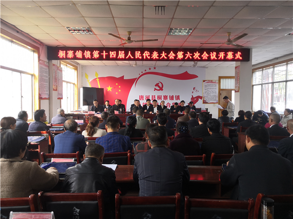 唐河桐寨铺镇召开第十四届人民代表大会第六次会议
